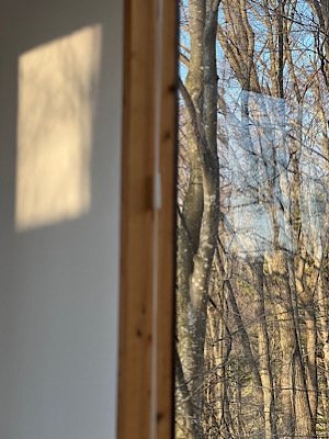 IMG_2025-04-24-120241.jpeg