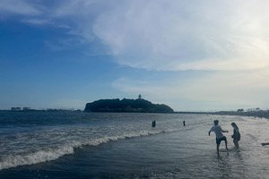 IMG_6529.jpeg