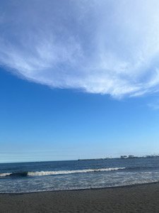 IMG_6536.jpeg