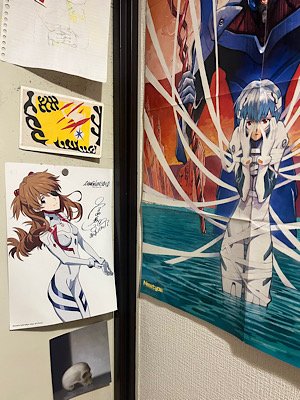 IMG_6555.jpeg
