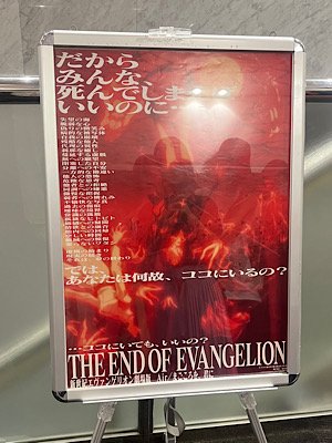 IMG_6556.jpeg