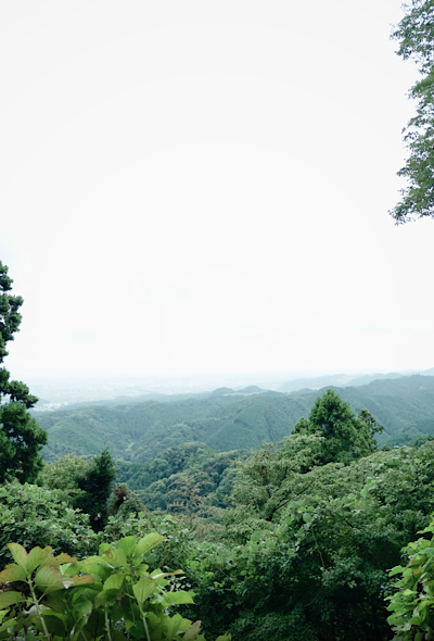 IMG_6435.png