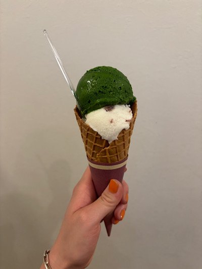 IMG_1499.jpeg