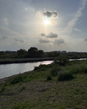 IMG_1565.png