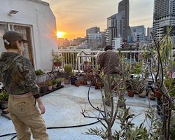 IMG_1581.jpeg