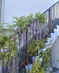 IMG_1583.jpeg