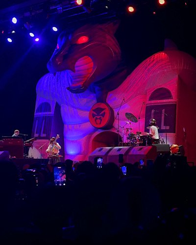 IMG_2155.jpeg