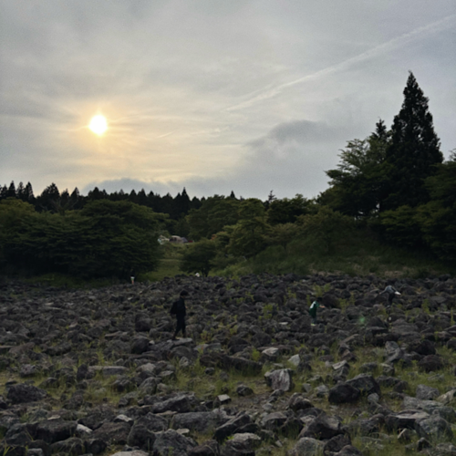 IMG_2026-06-29-161916.png
