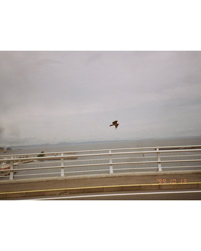 IMG_3235.jpeg