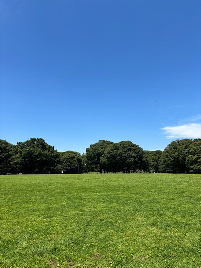 IMG_3642.jpeg