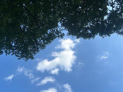 IMG_3646.jpeg