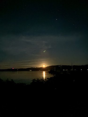 IMG_8238.jpeg