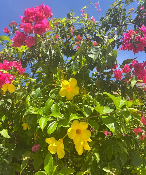IMG_0728.jpeg
