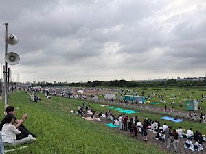 IMG_2867.jpeg