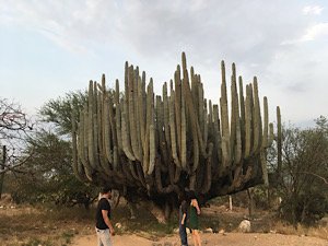 IMG_3569.jpeg