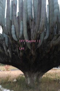 IMG_3570.jpeg