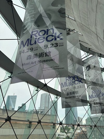 IMG_4884.jpeg