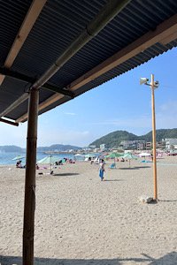 IMG_2864.jpeg