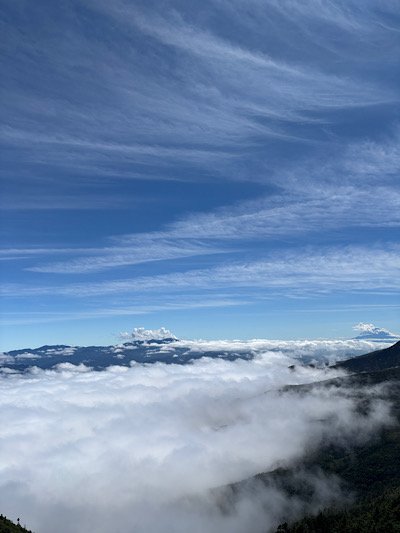 IMG_5976.jpeg