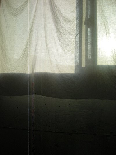 IMG_5842.jpeg