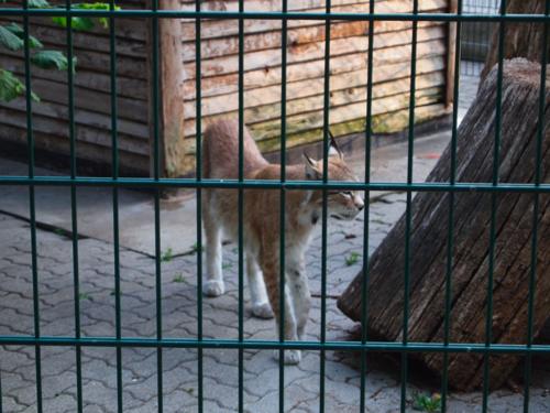 ストラスブール動物園P7011618.jpg