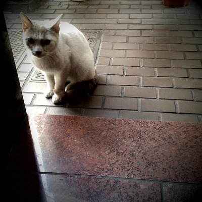 20100318.jpg