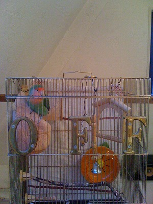 20110321.jpg