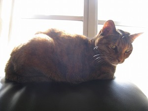 IMG_1478.jpg