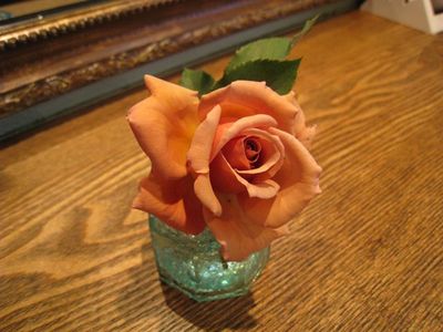 IMG_1816_R.JPG