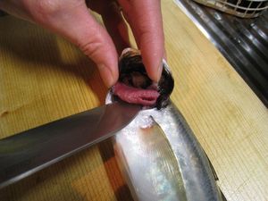 IMG_1920_R.JPG