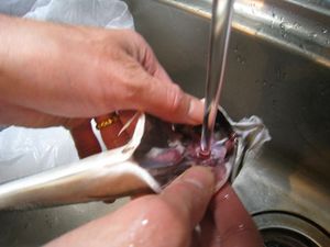 IMG_1923_R.JPG