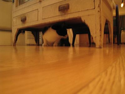 IMG_3144_R.JPG