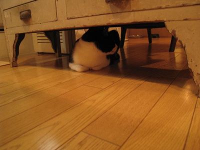 IMG_3146_R.JPG