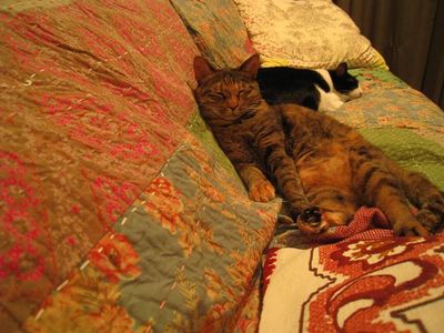IMG_3204_R.JPG