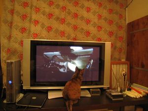 IMG_3207_R.JPG