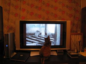 IMG_3208_R.JPG