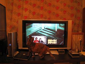IMG_3209_R.JPG
