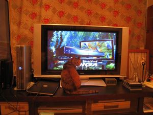 IMG_3211_R.JPG