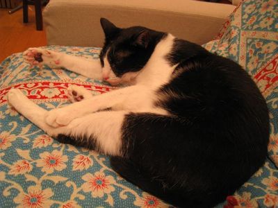 IMG_3212_R.JPG