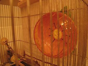 IMG_3516_R.JPG