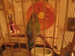 IMG_3519_R.JPG