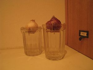 IMG_3522_R.JPG