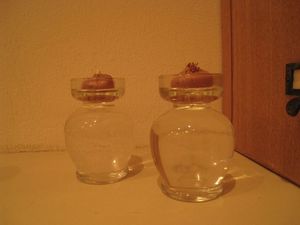 IMG_3526_R.JPG