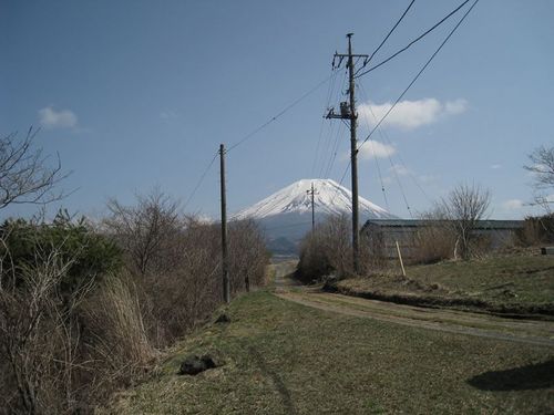 IMG_4254_R.JPG