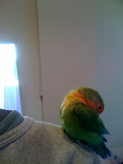 20100330.jpg