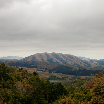 dirtyprojectors_bjork-mount_wittenberg_orca.jpg