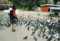 img123.jpg