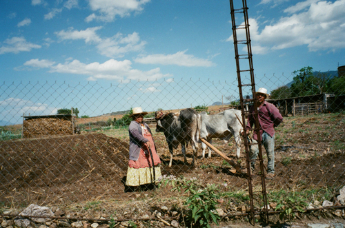 mexico201805IMG_0001.png