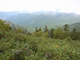 r-R0012478.jpg