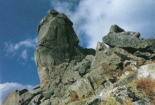 r-img182.jpg